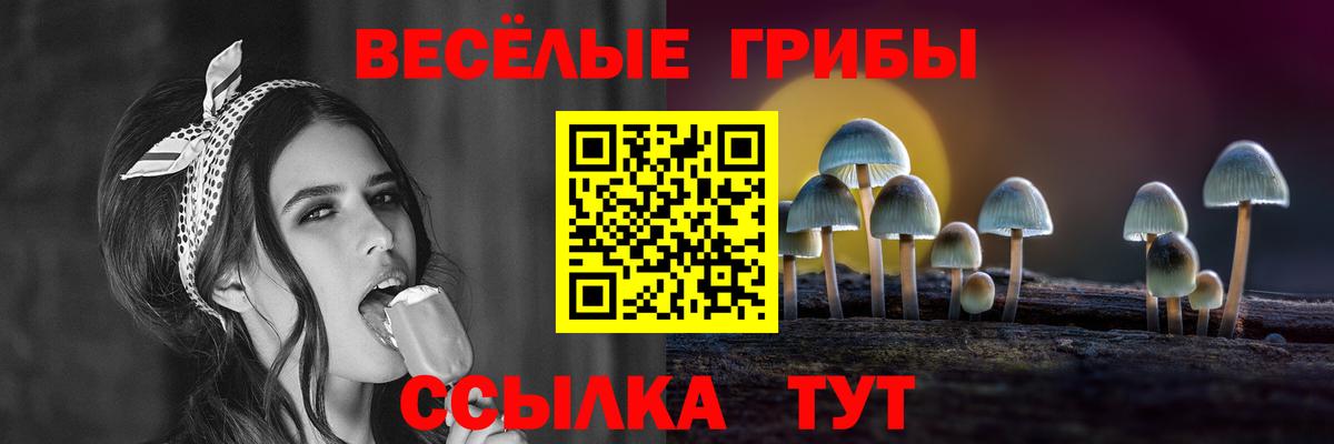 Чистополь  Псилоцибиновые грибы ЛСД  Вход с VPN 
